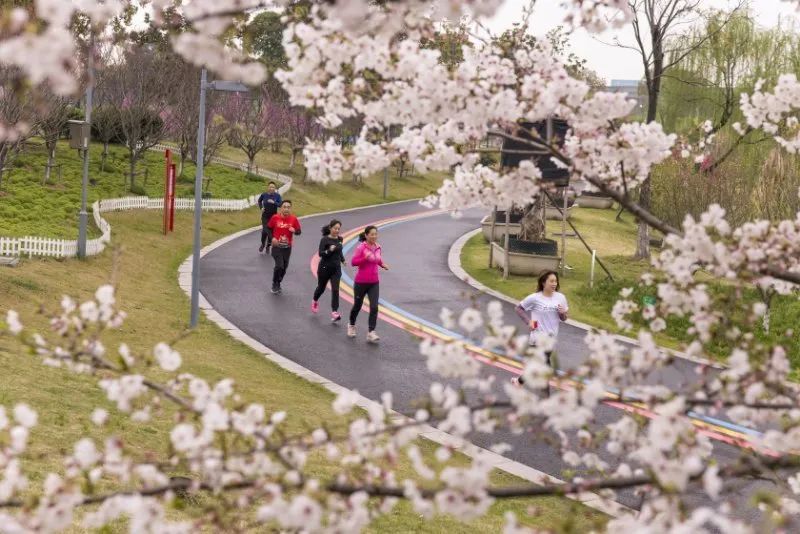 西漳體育公園